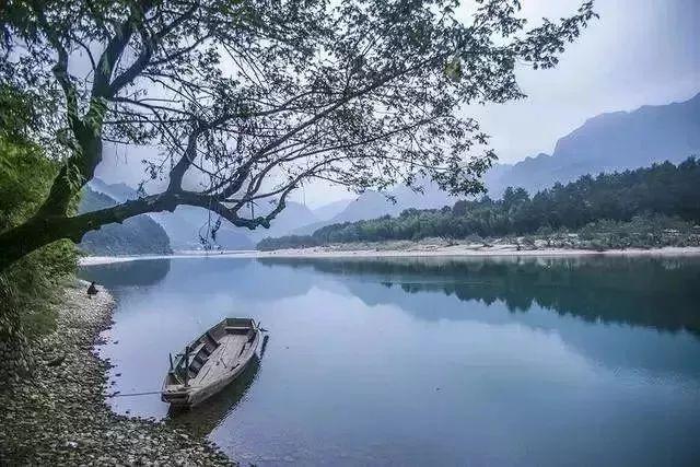 全球首例活人“换头”手术,其志愿者是俄罗斯程序员,结果怎样?
