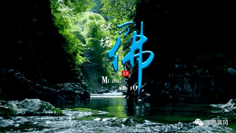 郑凤荣回忆初进国家队,“不屈不挠”是她的人生信念