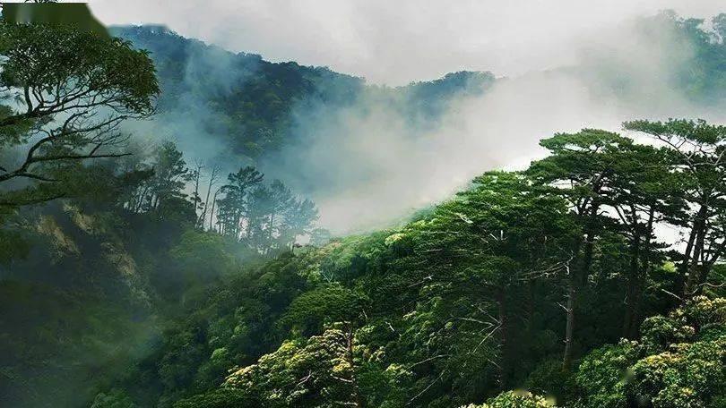 逃出小丑的噩梦2
